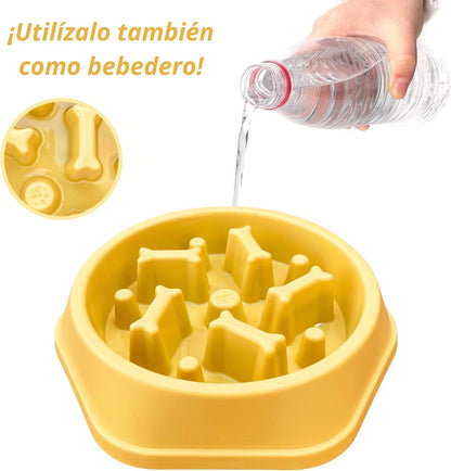 Bowl antivoracidad