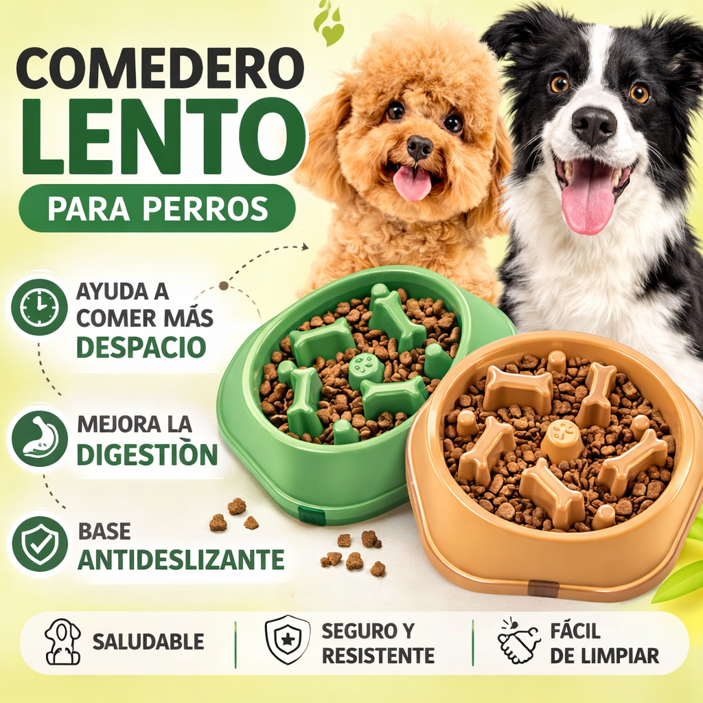 Bowl antivoracidad