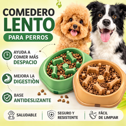 Bowl antivoracidad