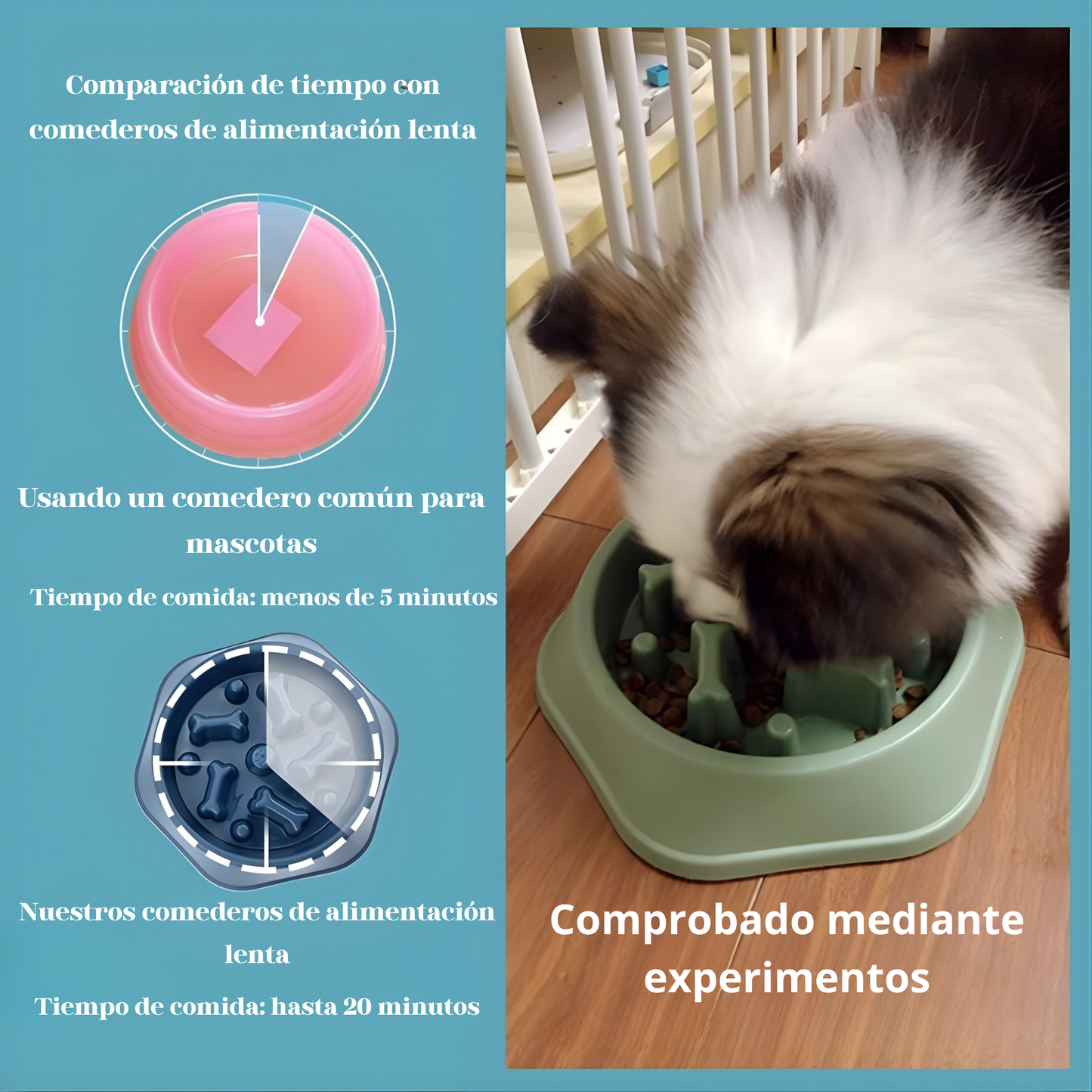 Bowl antivoracidad